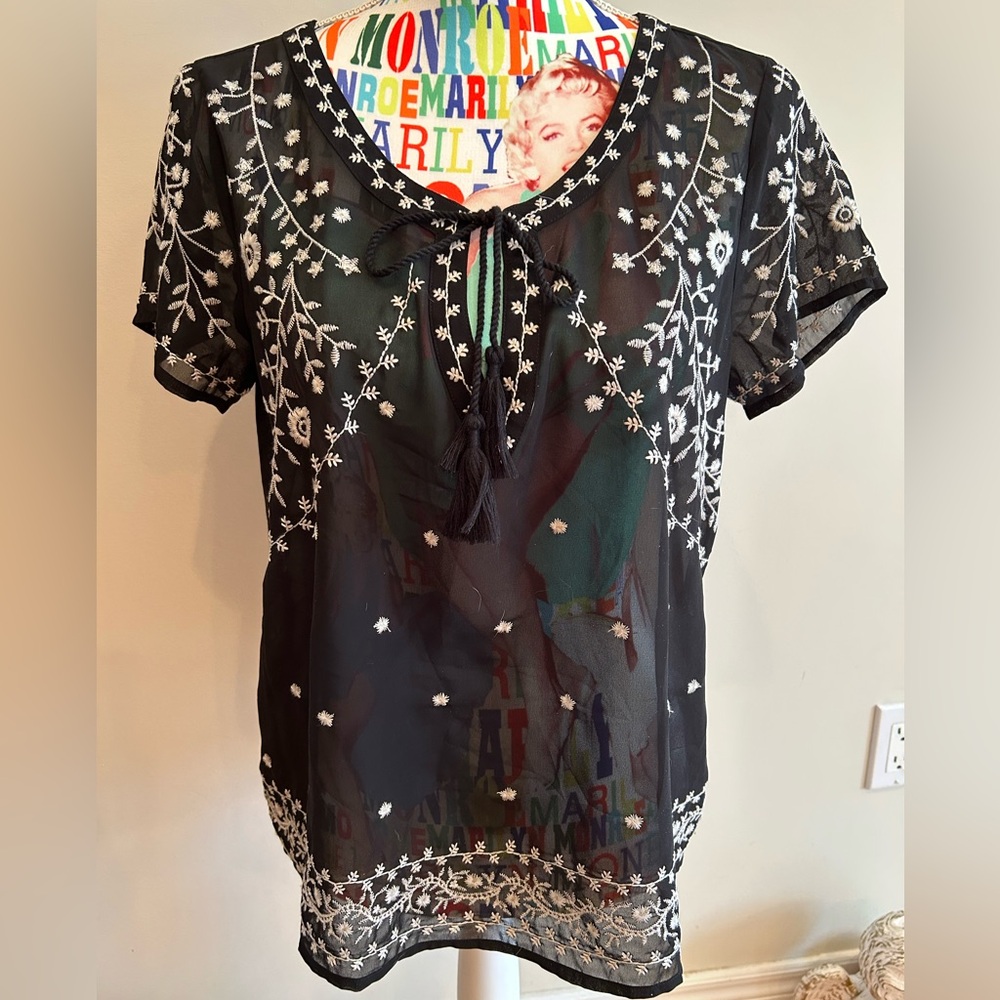 American Eagle Outfitters Sheer Floral Embroidered Blouse